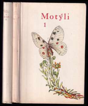 Motýli
