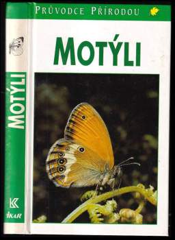 Motýli