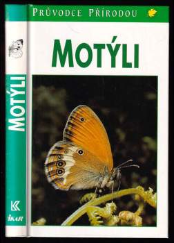 Motýli