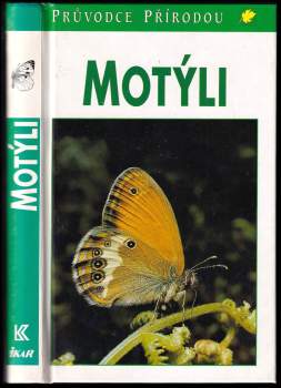 Motýli