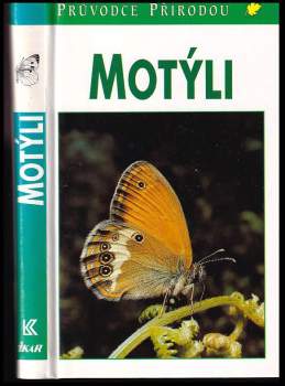 Motýli