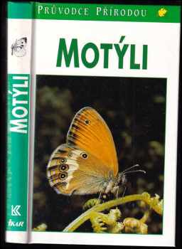 Motýli