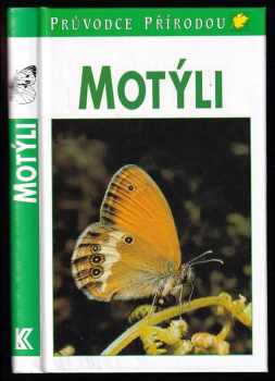 Motýli