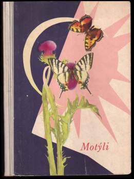 Motýli