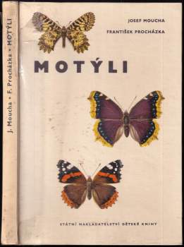 Motýli