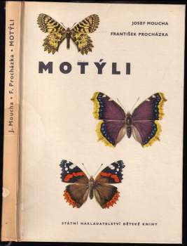 Motýli