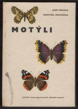 Motýli