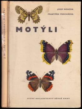 Motýli