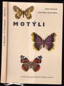 Motýli