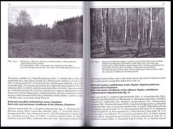 Zdeněk Laštůvka: Motýli (Lepidoptera) Moravského krasu