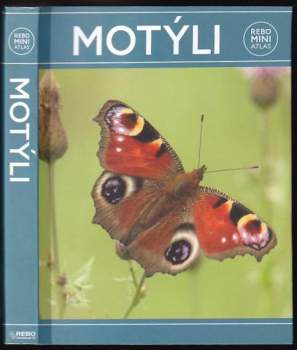 Motýli