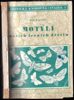 Motýli našich lesních dřevin