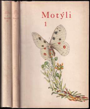 Motýli