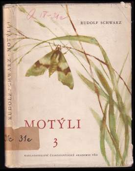 Motýli