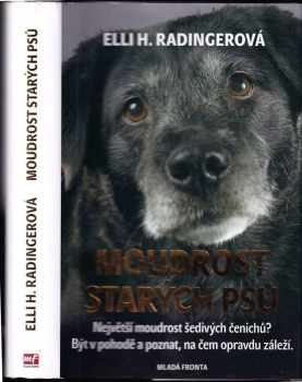 Moudrost starých psů