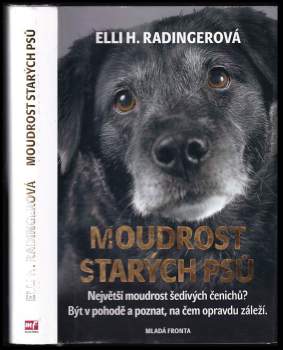 Moudrost starých psů