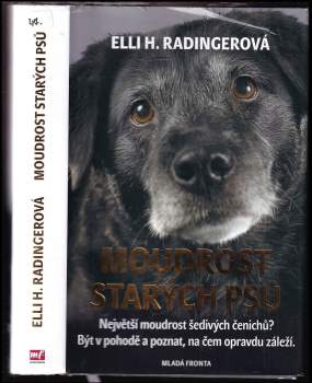 Moudrost starých psů