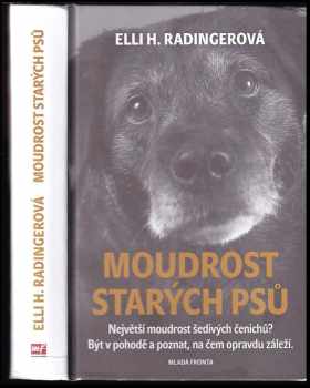 Moudrost starých psů
