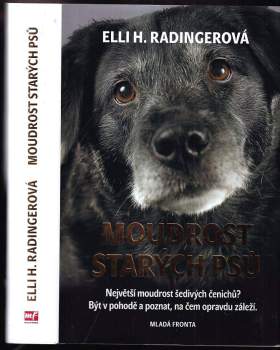 Moudrost starých psů