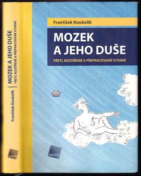 Mozek a jeho duše
