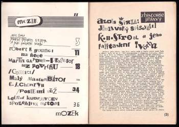 Stanislav Bartůšek: Mozek č. 11