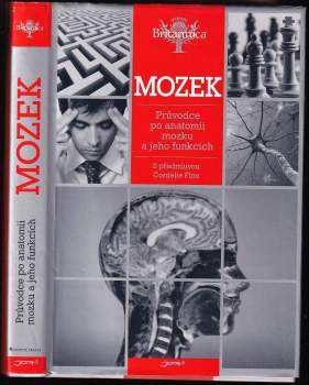 Mozek