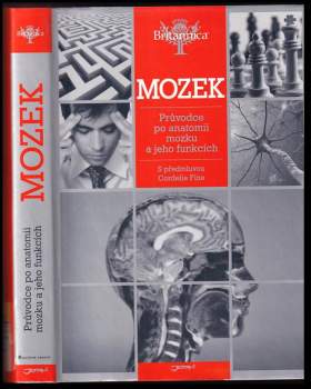 Mozek