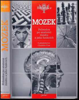 Mozek
