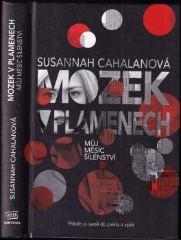 Mozek v plamenech
