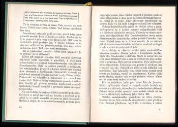 Adolf Hoffmeister: Mrakodrapy v pralese