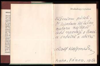 Adolf Hoffmeister: Mrakodrapy v pralese