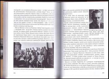 Stanislav Motl: Mraky nad Barrandovem