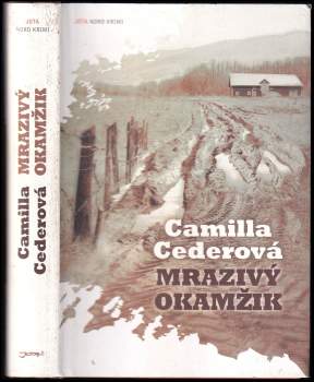 Camilla Ceder: Mrazivý okamžik