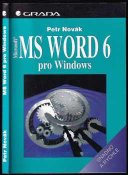 MS Word 6 pro Windows