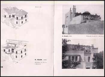 Karel Honzík: MSA