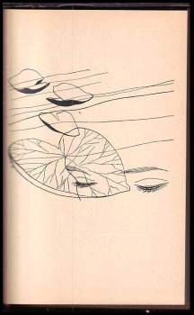 Marie Majerová: Mučenky