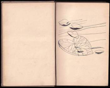 Marie Majerová: Mučenky