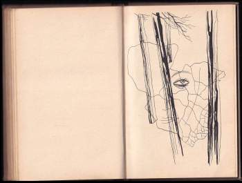 Marie Majerová: Mučenky