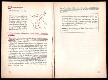 Gertrud Hirschi: Mudry
