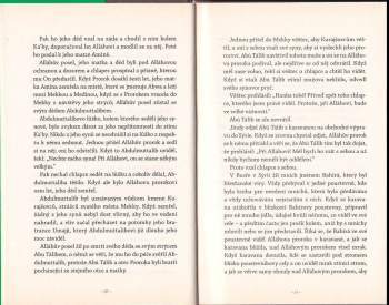 Muhammed Ibn Ishák: Muhammad