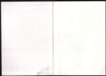 Adolf Hitler: Můj boj / Mein Kampf