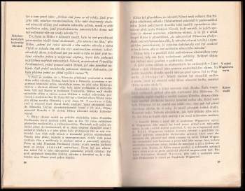 František Bauer: Můj boj