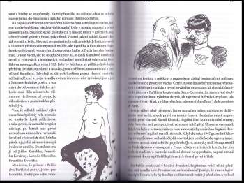 Adolf Branald: Můj přítel Kamil