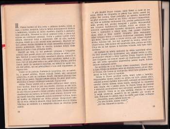 Raymond Queneau: Můj přítel Pierot