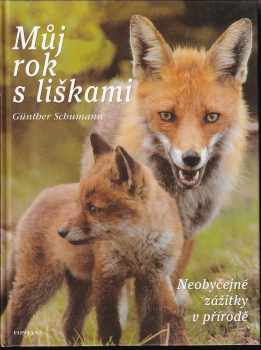 Můj rok s liškami