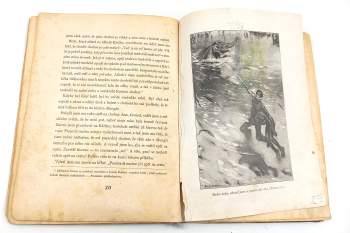 Dhan Gopal Mukerji: Můj slon Kárí