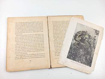 Dhan Gopal Mukerji: Můj slon Kárí