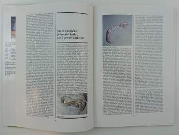 Petr Voženílek: Můj život mezi hady a jinou havětí