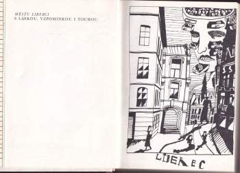 Vladimír Páral: Muka obraznosti