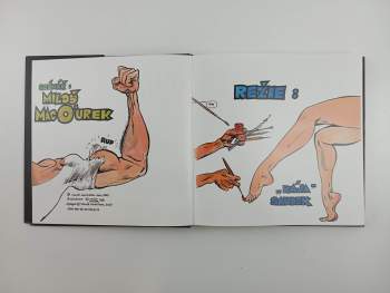 Miloš Macourek: Muriel a oranžová smrt